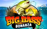 Big Bass Bonanza